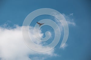 Flying bird in the blue and cloudy sky