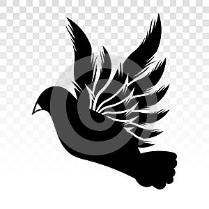 Flying bird - dove or pigeon spreads its wings - vector flat icon on a transparent background