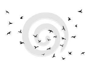 Flying bird. Flock of birds black silhouettes, abstract flight migration animal wildlife, simple seagull shapes