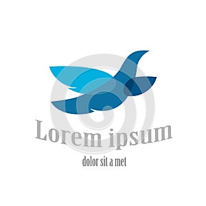 Flying bird logo template. Blue dove symbol.