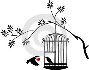 Flying bird with a love for the bird in the cage