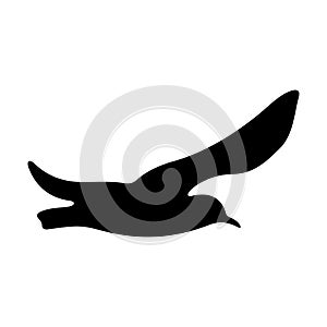 Flying bird realistic silhouette vector illustration. Seagull illustration.