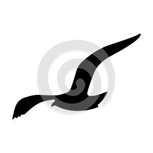 Flying bird realistic silhouette vector illustration. Seagull illustration.