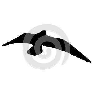 Flying bird realistic silhouette vector illustration. Seagull illustration.