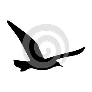 Flying bird realistic silhouette vector illustration. Seagull illustration.