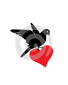 Flying bird silhouette illustration holding big red heart