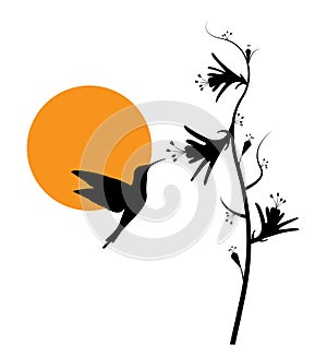 Flying bird silhouette on sunset, vector