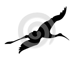 Flying bird with spread wings. Silhouette vector illustration, isolated on white background. Sign, logo or tattoo