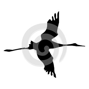 Flying bird with spread wings. Silhouette vector illustration, isolated on white background. Sign, logo or tattoo