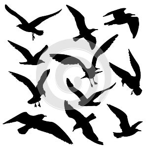 Flying birds black silhouettes vector set