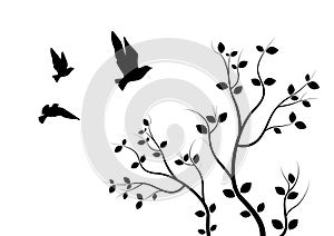 Flying Birds On Branch, Wall Decals, Art Design, Flying Birds on Tree Illustration. Isolated on white background