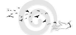 Flying birds and hand silhouettes on white background. Vector il
