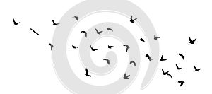 Flying birds silhouette flock. hand drawing. Not AI, Illustrat3. Vector illustration