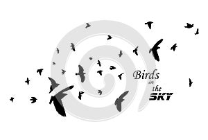 Flying birds silhouette flock. hand drawing. Not AI, Illustrat3. Vector illustration