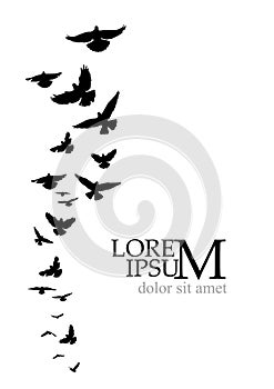 Flying birds silhouette flock. hand drawing. Not AI, Illustrat3. Vector illustration