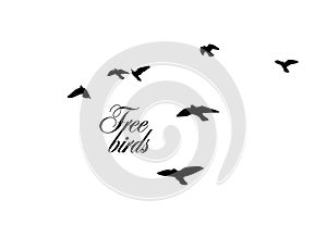 Flying birds silhouette flock. hand drawing. Not AI, Illustrat3. Vector illustration