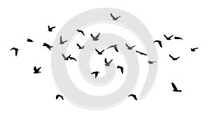 Flying birds silhouette flock. hand drawing. Not AI, Illustrat3. Vector illustration