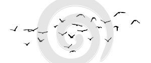 Flying birds silhouette flock. hand drawing. Not AI, Illustrat3 . Vector illustration