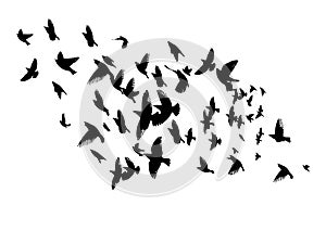 Flying birds silhouette flock. hand drawing. Not AI, Illustrat3 . Vector illustration