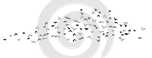 Flying birds silhouette flock. hand drawing. Not AI, Summer vector illustration