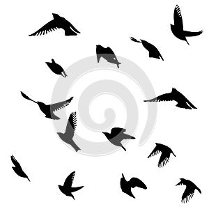 Flying birds silhouette flock. hand drawing. Not AI, Vector illustration