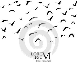 Flying birds silhouette flock. hand drawing. Not AI, Vector illustration