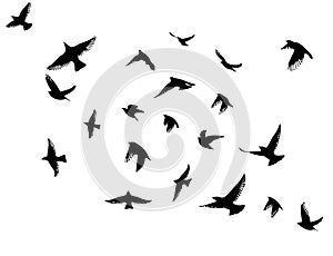 Flying birds silhouette flock. hand drawing. Not AI. Vector illustration