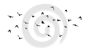 Flying birds silhouette flock. hand drawing. Not AI, Vector illustration