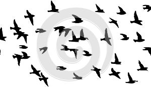 Flying birds silhouette flock. hand drawing. Not AI, Vector illustration