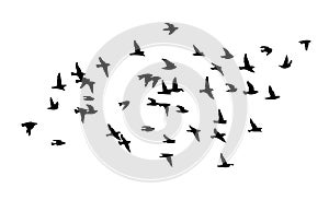 Flying birds silhouette flock. hand drawing. Not AI, Vector illustration