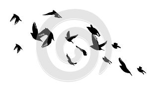Flying birds silhouette flock. hand drawing. Not AI. Vector illustration