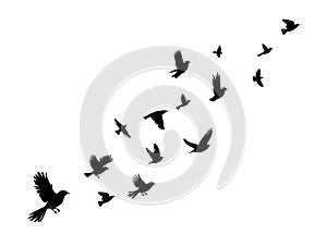 Flying birds silhouette flock. hand drawing. Not AI, Vector illustration