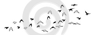 Flying birds silhouette flock. hand drawing. Not AI, Vector illustration