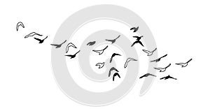 Flying birds silhouette flock. hand drawing. Not AI, Vector illustration