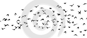 Flying birds silhouette flock. Not AI, Free birds abstraction . Vector illustration