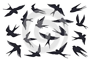 Flying birds silhouette. Flock of swallows, sea gull or marine birds isolated on white background. Vector set of