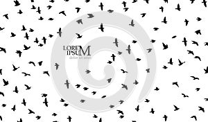 Flying birds silhouette flock. Vector illustration