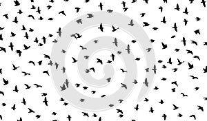 Flying birds silhouette flock. Vector illustration