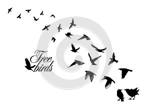 Flying birds silhouette flock. Vector illustration