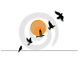 Flying birds silhouette on sunset and bir on wire, vector