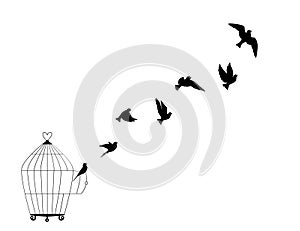 Flying birds silhouettes from bird cage isolated on white background