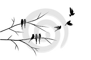 Flying birds silhouettes and birds on branch illustration isolated on white background