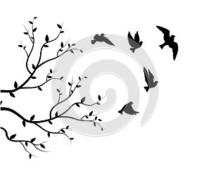 Flying birds silhouettes and branch illustration isolated on white background