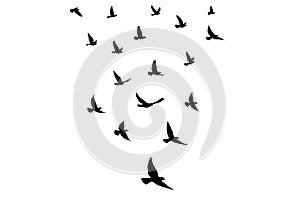 Flying birds silhouettes on isolated background. Vector illustration. isolated bird flying. tattoo and wallpaper background design