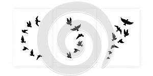 Flying birds silhouettes isolated on white background