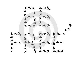 Flying birds silhouettes in shape of be free isolated on white background