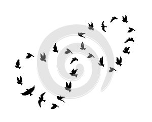 Flying birds silhouettes in a shape of a hearts isolated on white background