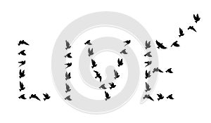 Flying birds silhouettes in shape of word live isolated on white background