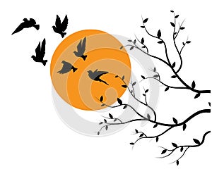 Flying birds silhouettes on sunset and branch illustration isolated on white background