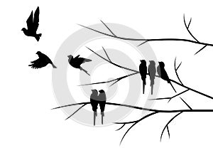 Flying birds silhouettes on sunset and branch illustration isolated on white background